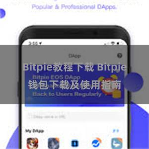 Bitpie教程下载 Bitpie钱包下载及使用指南