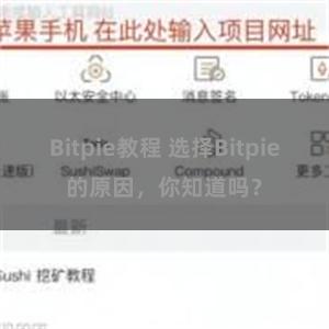 Bitpie教程 选择Bitpie的原因，你知道吗？