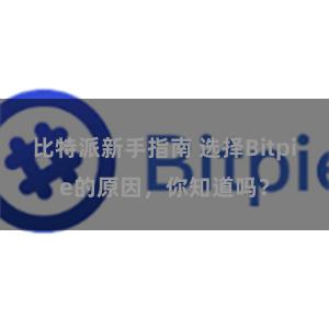 比特派新手指南 选择Bitpie的原因，你知道吗？