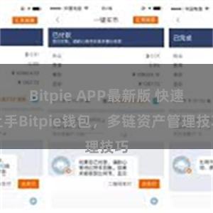 Bitpie APP最新版 快速上手Bitpie钱包，多链资产管理技巧