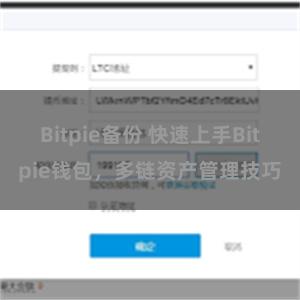 Bitpie备份 快速上手Bitpie钱包，多链资产管理技巧