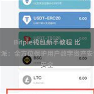 Bitpie钱包新手教程 比特派：全方位保护用户数字资产安全