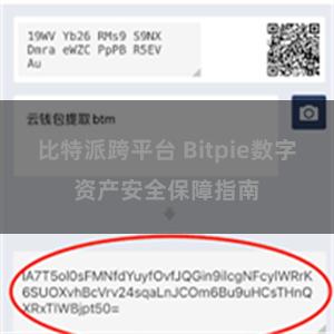 比特派跨平台 Bitpie数字资产安全保障指南