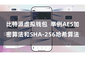比特派虚拟钱包  举例AES加密算法和SHA-256哈希算法